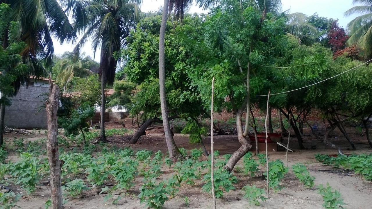 Hostel Terra Viva Praia de Pipa Luaran gambar