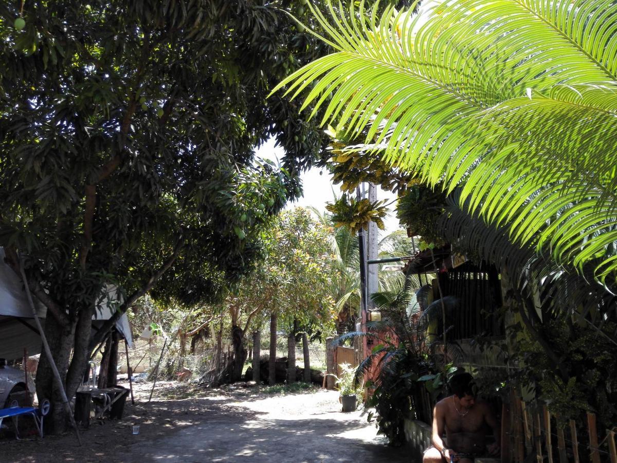 Hostel Terra Viva Praia de Pipa Luaran gambar