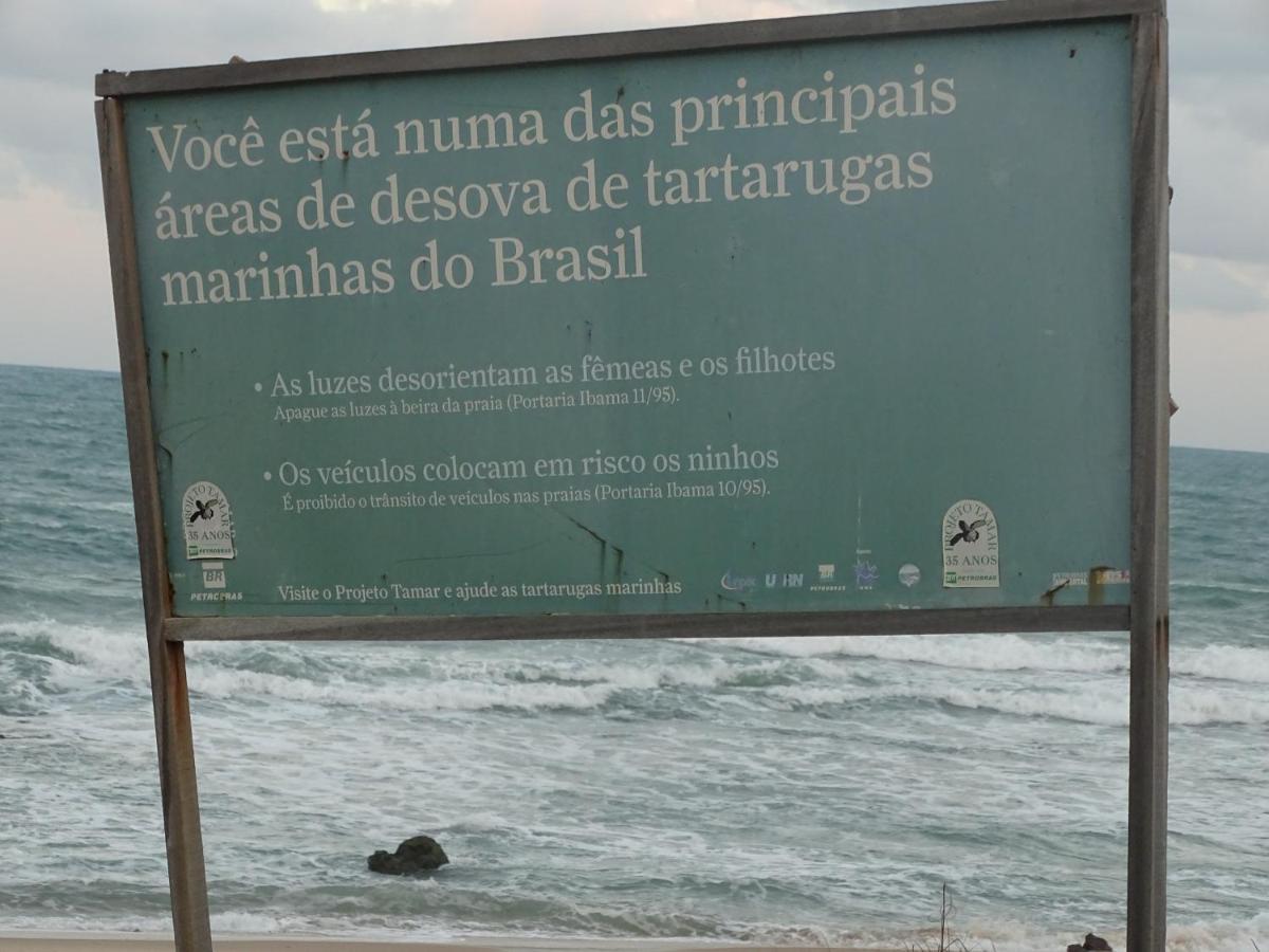 Hostel Terra Viva Praia de Pipa Luaran gambar