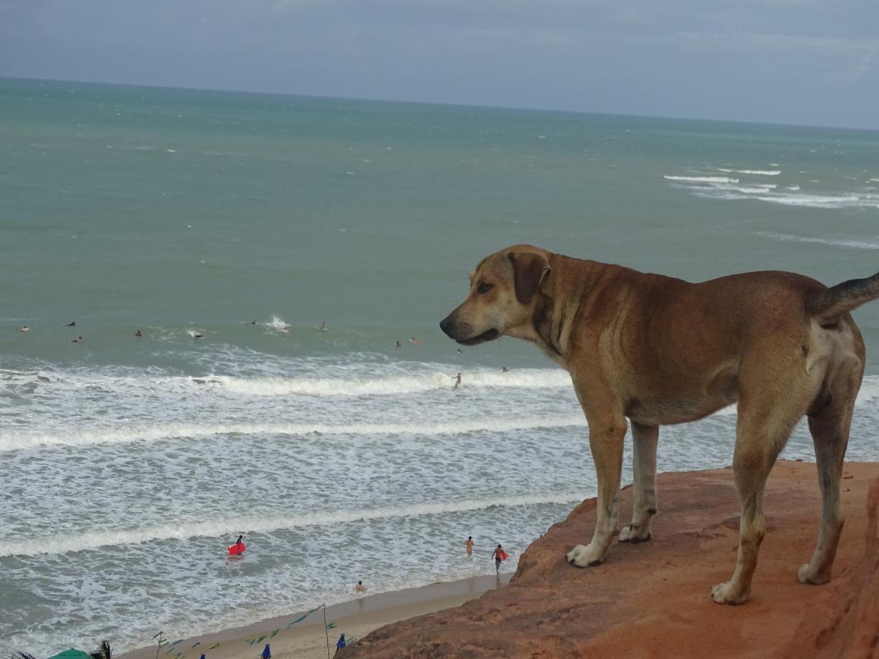 Hostel Terra Viva Praia de Pipa Luaran gambar